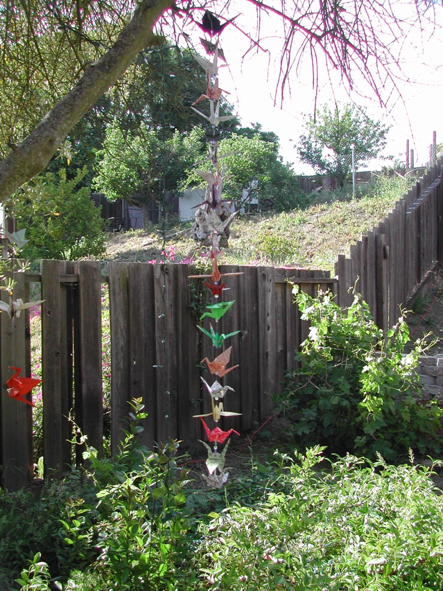 DSCN5567.JPG