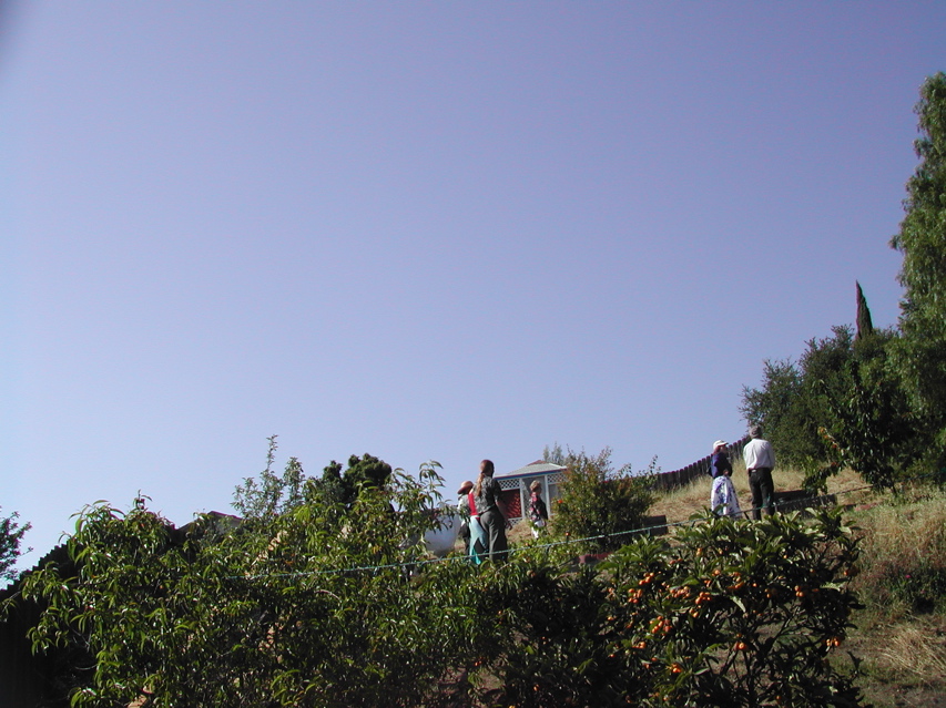 DSCN5579.JPG