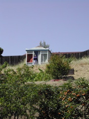 DSCN5557.JPG