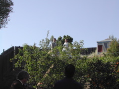 DSCN5591.JPG