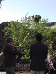 DSCN5593.JPG