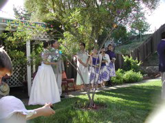 DSCN5597.JPG